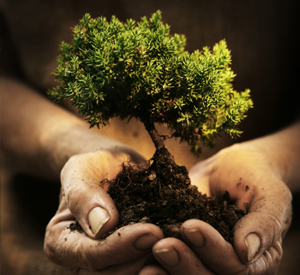 tree_hands