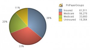 Payer Cases